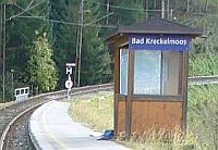 Kreckelmoos
